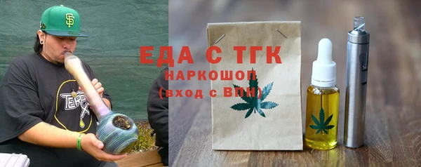 хмурый Алексин
