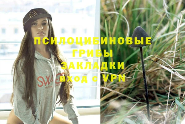 хмурый Алексин