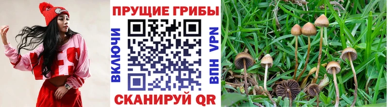 Псилоцибиновые грибы MAGIC MUSHROOMS Кохма