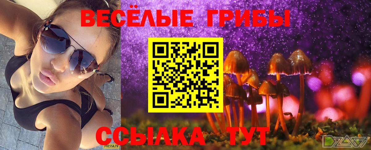 Кохма  Галлюциногенные грибы GOLDEN TEACHER  Вход с VPN 