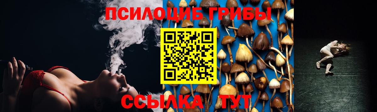 Псилоцибиновые грибы мицелий Кохма
